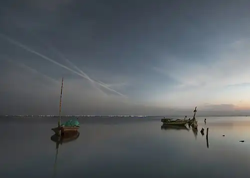 قوارب في البرلس