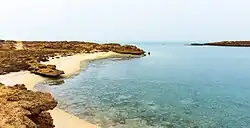 جزيرة فرسان بالمملكة العربية السعودية