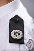 مساعد رئيس الشرطة