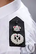 رئيس الشرطة