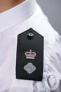 رئيس المشرفين