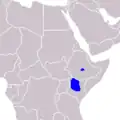 حمار زرد غريفي.