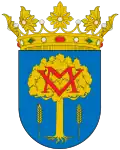 فالمدريد