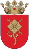 ماتيت