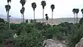 صورة من أعلى الجبل