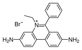 بروميد الإيثيديوم