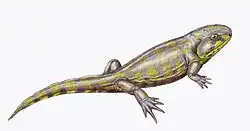 Eucritta melanolimnetes