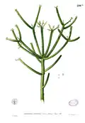 Habit