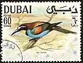 وروار أوروبي(Merops apiaster)