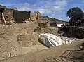الحفريات في بينالوسا