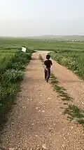 سهول منطقة فاع