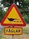 Sweden: quail crossing.