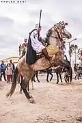 فانتازيا من ولاية الأغواط