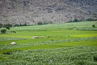وادي نهر بيش