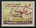 2 بيزة