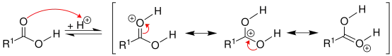 الخطوة الأولى من تفاعل الأسترة.