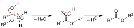 الخطوة الثالثة من تفاعل الأسترة