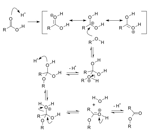 آلية تفاعل أسترة فيشر