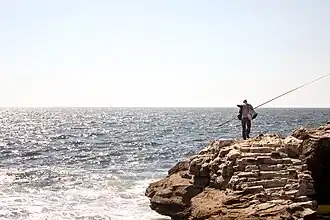 شاطئ العصافرة