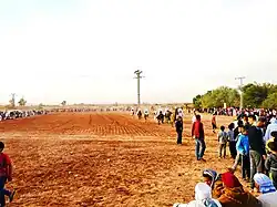 صورة من المهرجان السنوي