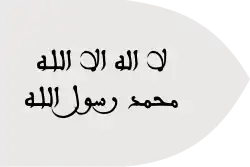 علم المغرب (780-1147)، علم الأدارسة