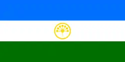 علم باشكورتوستان(25 فبراير 1992–12 فبراير 2003)