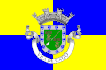 علم Catió