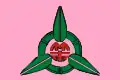 علم سين شو