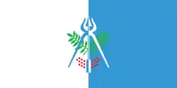 إيجيفسك