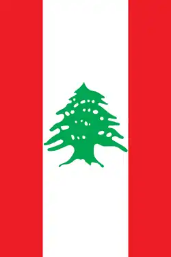العلم اللبناني عمودياً