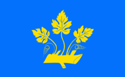 ستافانغر