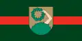علم Talsi