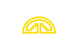 Flag of the Andean Community of Nations