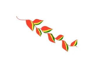 علم بوليفيا