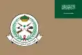 علم القوات البرية الملكية السعودية (نسبة: 2:3)
