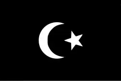 سنوسية