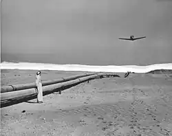 في عام 1950