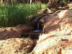 فقارة