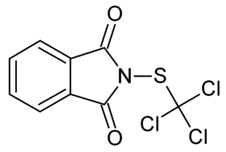 فولبت