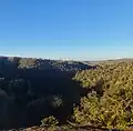 غابة عين القصب