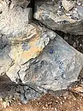 أحافير في وادي الجنة
