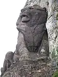وجه الأسد