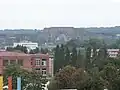 صورة أخذت من مسافة توضح موقع الأسد في المدينة