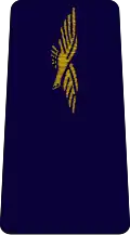 aviateur de deuxième classe