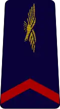 aviateur de première classe