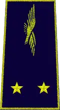 général de brigade aérienne