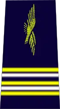 lieutenant-colonel