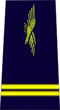 lieutenant