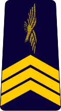 sergent-chef