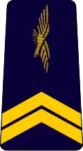 sergent